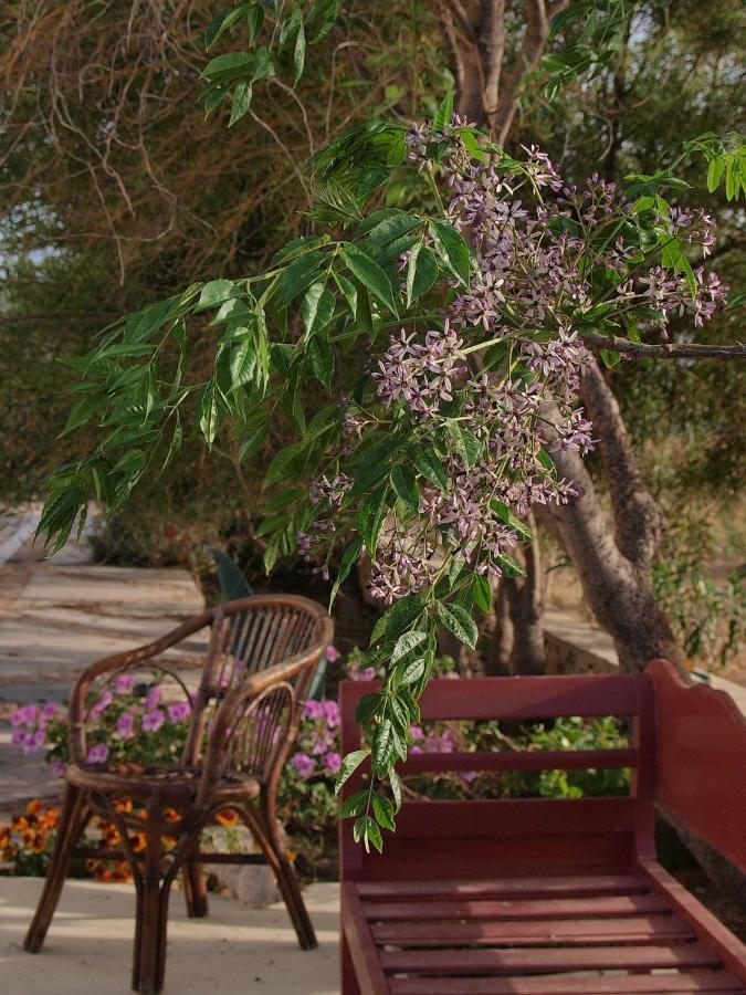 Flower And Crafts - The Eco Nature House Монолітос Екстер'єр фото