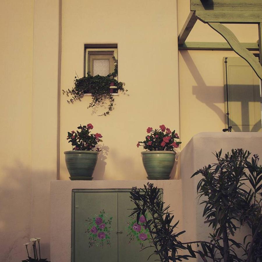 Flower And Crafts - The Eco Nature House Монолітос Екстер'єр фото