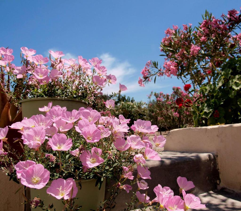 Flower And Crafts - The Eco Nature House Монолітос Екстер'єр фото
